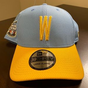 2017 Little League world series baseball h…